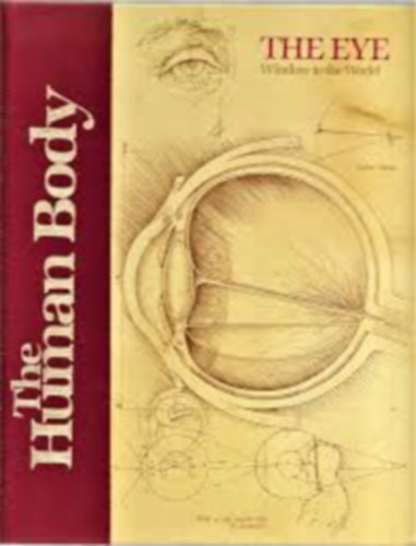 Lael Tucker Wertenbaker - Eye, Window to the World (Human Body Series)