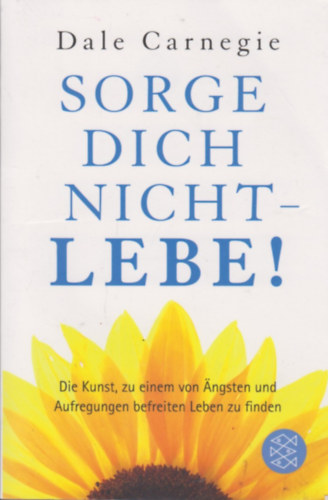 Dale Carnegie - Sorge dich nicht-lebe!