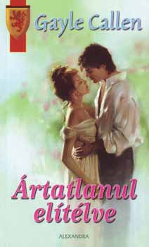 Gayle Callen - Ártatlanul elítélve