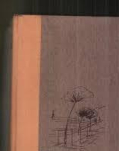 Jorge Amado - Gabriela-Szegfű és fahéj