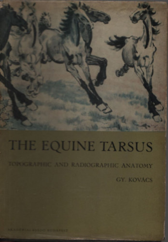 Kov�cs Gyula - The equine tarsus - Topographic and radiographic anatomy