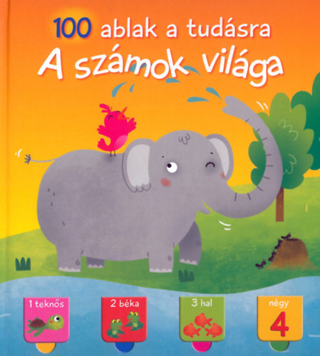 A számok világa -100 ablak a tudásra