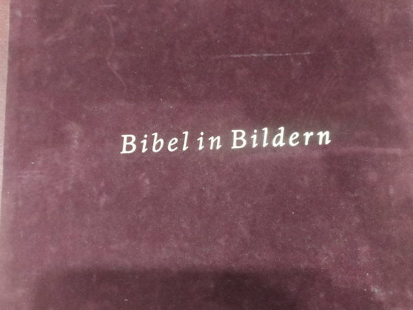 Schnorr von Carolsfeld - Bibel in Bildern