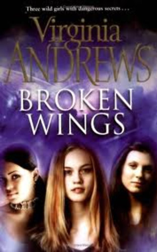 Virginia Andrews - Broken wings