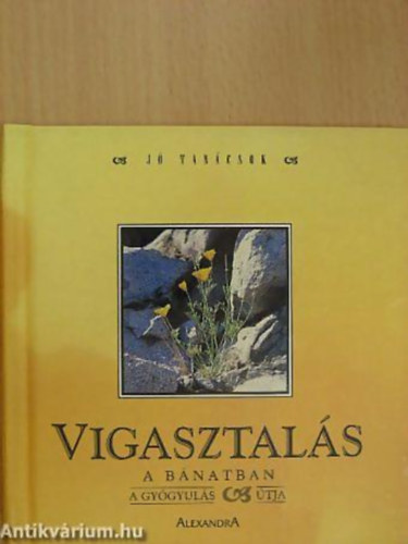 Ben Alex - T�r�k Judit - Vigasztal�s a b�natban A GY�GYUL�S �TJA - Sorozatc�m:J� tan�csok