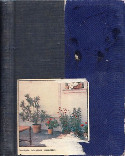 Szöghy József - Szöghy József 150 válogatott feladványa