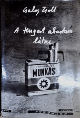 Csalog Zsolt - A tengert akartam l�tni