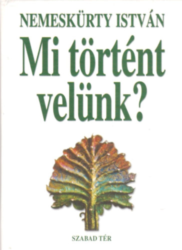 Nemeskürty István - Mi történt velünk?