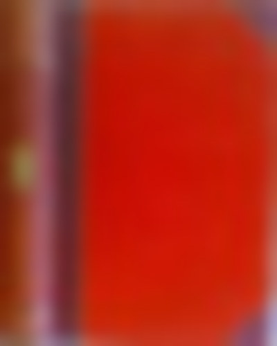 Friedrich M. Kircheisen - Napoleon I. - Sein Leben und seine Zeit (Erster Band)