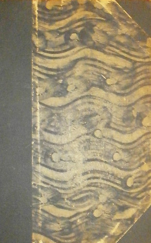 Gustave Flaubert - Egy fiatalember története