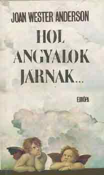 Joan Wester Anderson - Hol angyalok jrnak...