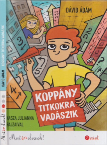 Dávid Ádám - Koppány titkokra vadászik