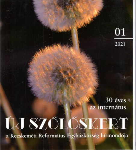 Kormnyosn Makai Eszter Bn Magdolna  (fszerk:) - j  Szlskert IX. vf. 2021.01. szm  - a Kecskemti Reformtus Egyhzkzsg hrmondja