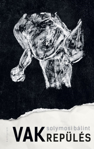 Solymosi B�lint - Vakrep�l�s