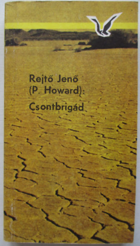 Rejt Jen  (P. Howard) - Csontbrigd