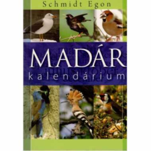 Schmidt Egon - Madr kalendrium