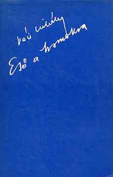 V�ci Mih�ly - Es� a homokra