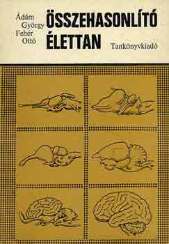 �d�m Gy�rgy-Feh�r Ott� - �sszehasonl�t� �lettan