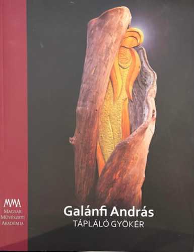 Galnfi Andrs - Tpll gykr