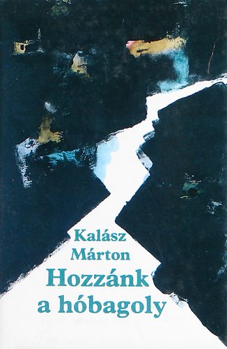 Kalász Márton - Hozzánk a hóbagoly