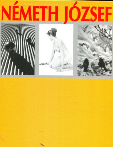 Dr. Németh József - Németh József képemlékei