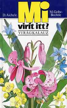 D. Aichele; M. Golte-Bechtle - Mi virt itt? - Virgkalauz