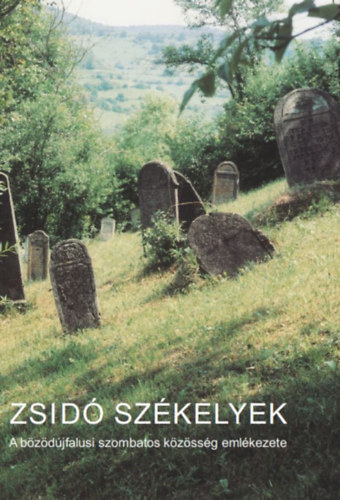 Zsid szkelyek