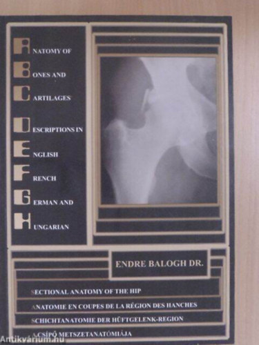 Dr. Balogh Endre - A cs�p� metszetanat�mi�ja