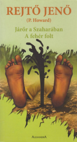 Rejt Jen - Jrr a szaharban - A fehr folt