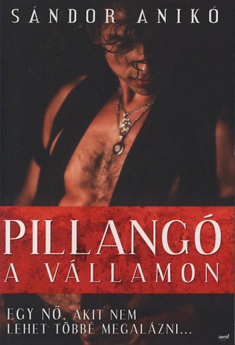 Sándor Anikó - Pillangó a vállamon - Egy nő, akit nem lehet többé megalázni...