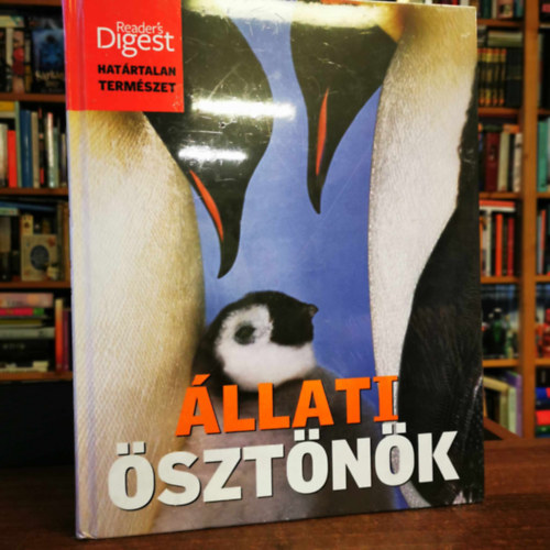 �llati �szt�n�k + Sz�ls�s�ges id�j�r�s