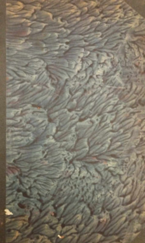 Turista k�zl�ny - Turista foly�irat XXI. �vfolyam 1914