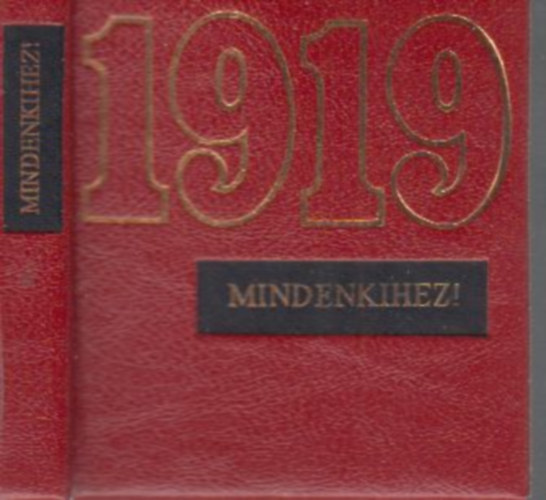 1919- Mindenkihez! (minikönyv, számozott)