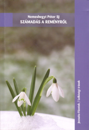 Nemeshegyi Péter Sj - Számadás a reményről (Jezsuita Füzetek/Lelkiségi írások)