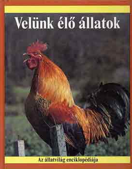 Robin Kerrod - Velnk l llatok (Az llatvilg enciklopdija)