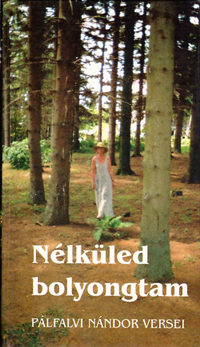 Pálfalvi Nándor - Nélküled bolyongtam