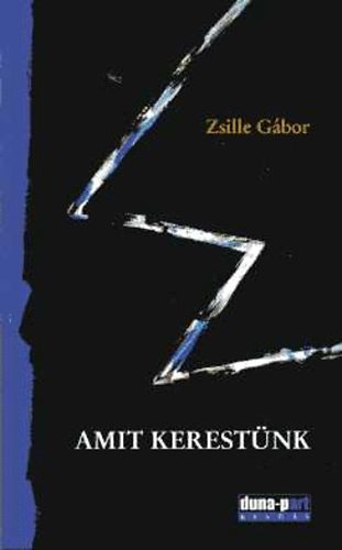 Zsille Gbor - Amit kerestnk