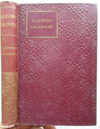 Flaubert - Salammbo (Klasszikus reg�nyt�r)