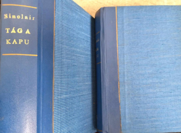 Upton Sinclair - Tg a kapu I-II.(Lanny Budd 4. knyve)