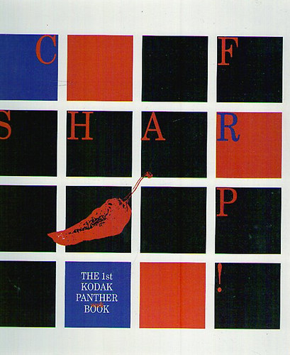 The First Kodak Panther Workbook