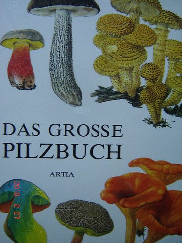 Mirko- Vancura, Bohumil Svrcek - Das grosse Pilzbuch (Nagy gombak�nyv)