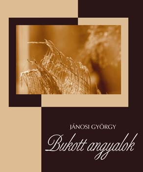 J�nosi Gy�rgy - Bukott angyalok