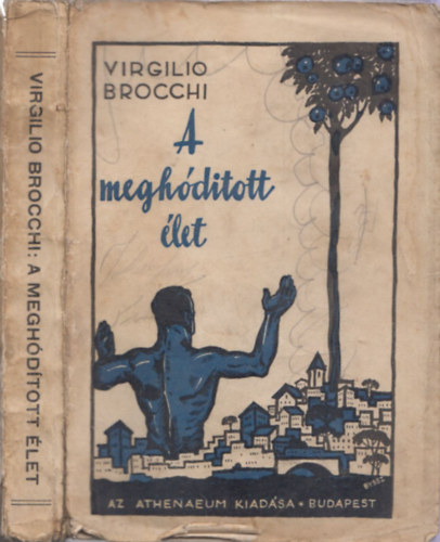 Virgilio Brocchi - A meghóditott élet