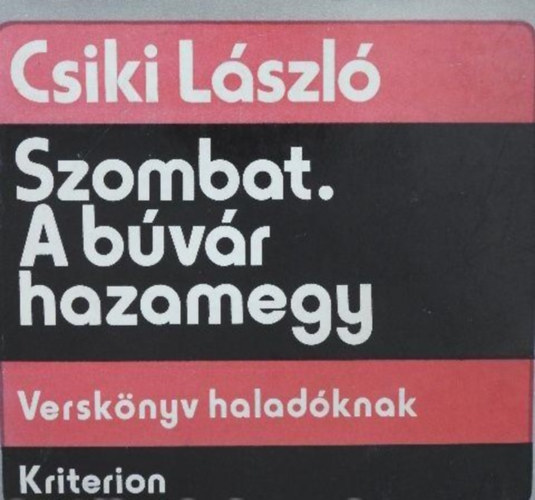 Csiki László - Szombat. A búvár hazamegy - Verskönyv haladóknak
