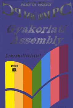 Agrdi Gbor - Gyakorlati Assembly lemezmellklettel