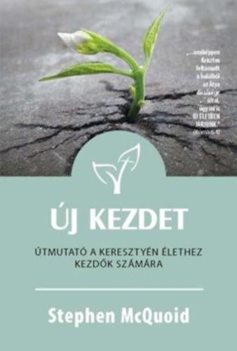 Stephen McQuoid - �j kezdet