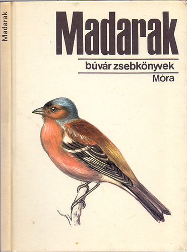 Dr. Cspe Magdolna  Keve Andrs (rajz) - Madarak 1. (Bvr zsebknyvek)