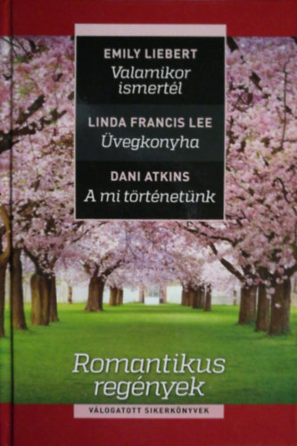 Linda Francis Lee, Dani Atkins Emily Liebert - :Valamikor ismertl - vegkonyha - A mi trtnetnk