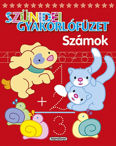 Sznidei gyakorlfzet - Szmok