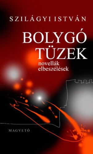 Szilgyi Istvn - Bolyg tzek